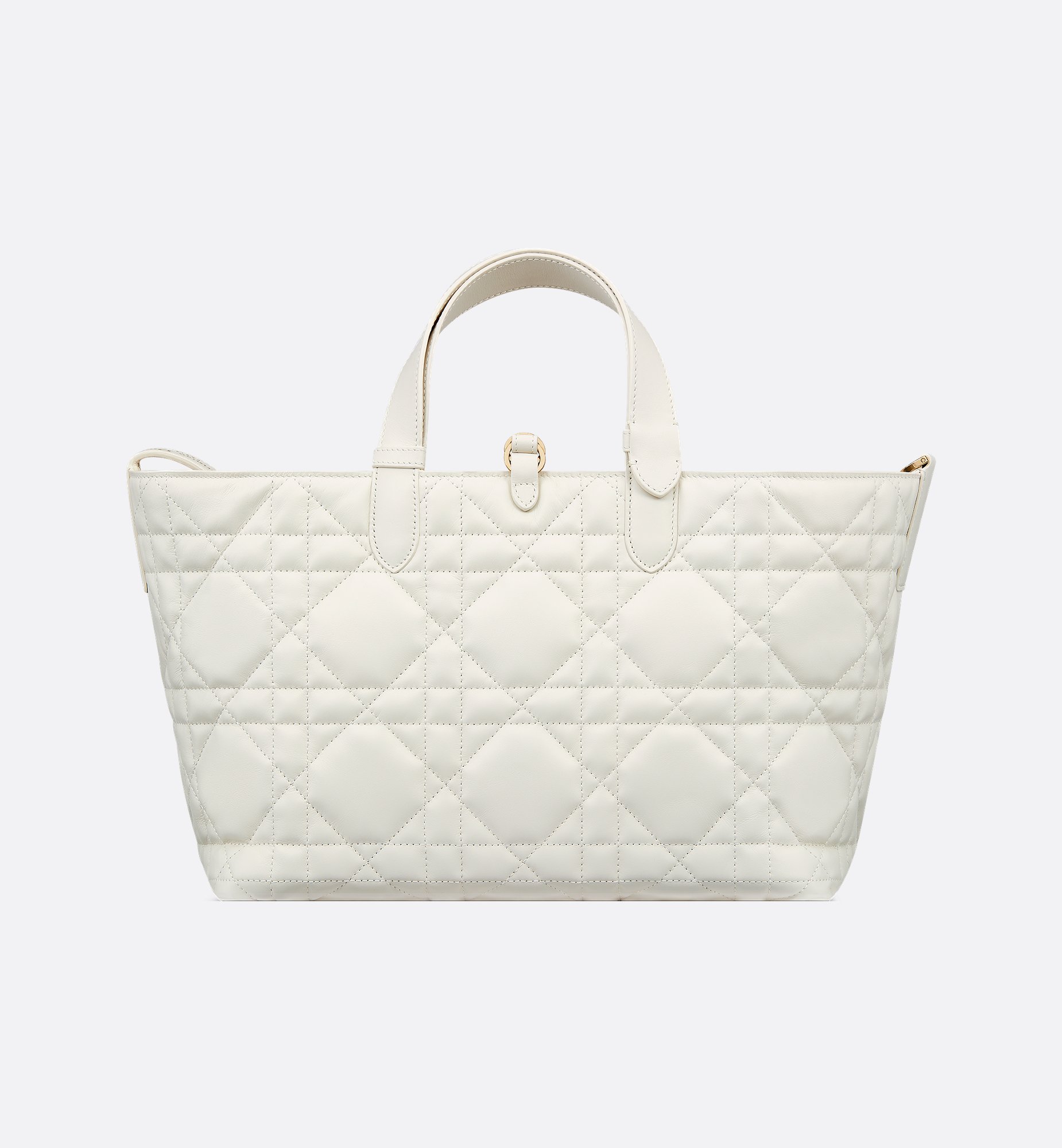 Dior Medium Dior Toujours Bag M2821OSNW_M030
