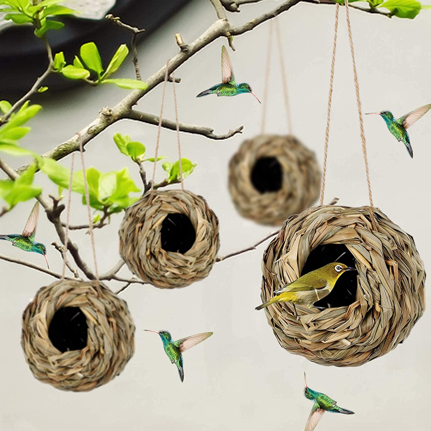 (🔥Last Day Promotion-SAVE 50% OFF)Hummingbird Nest House-BUY 3 GET 3 FREE$FREE SHIPPING