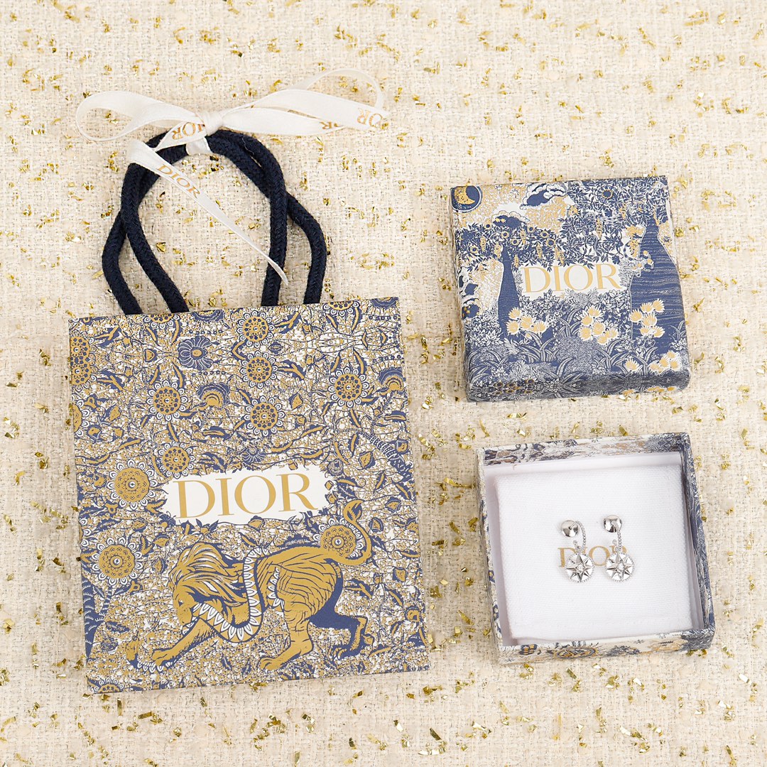 Dior Compass Earrings