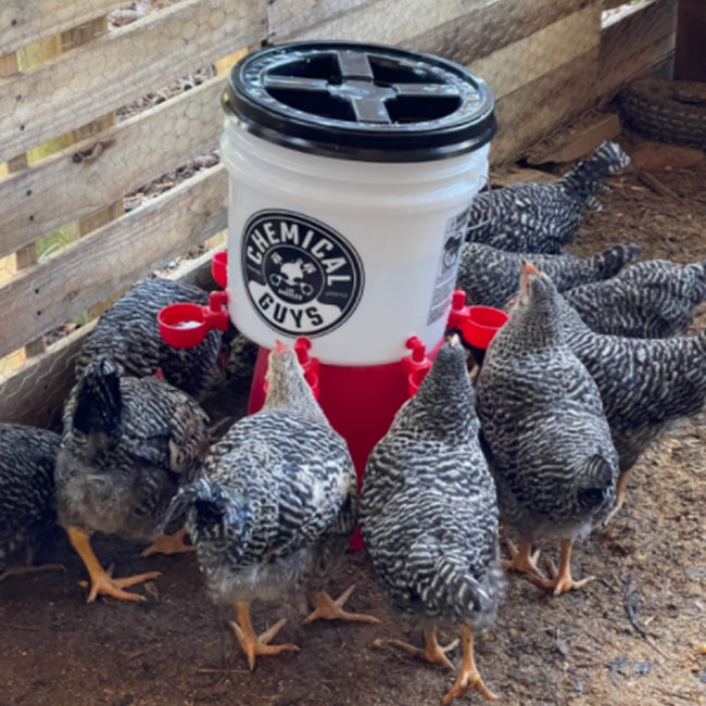 (🔥Early Christmas Sale- SAVE 48% OFF)  6PCS/SET Automatic Chicken Water Cup Waterer Kit-BUY 2 GET 1 FREE