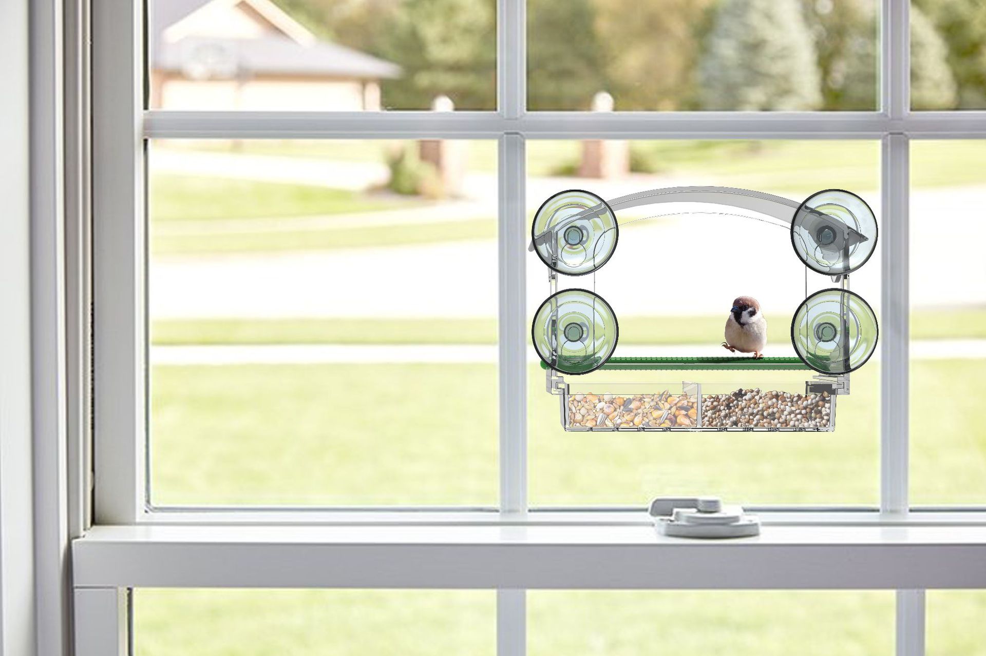 2024 New Year Promotion--Window Bird Feeders with Strong Suction Cups