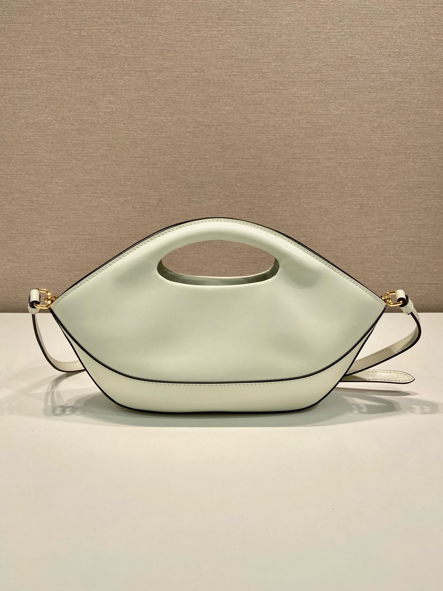 Prada Dumpling Bag 1BA421
