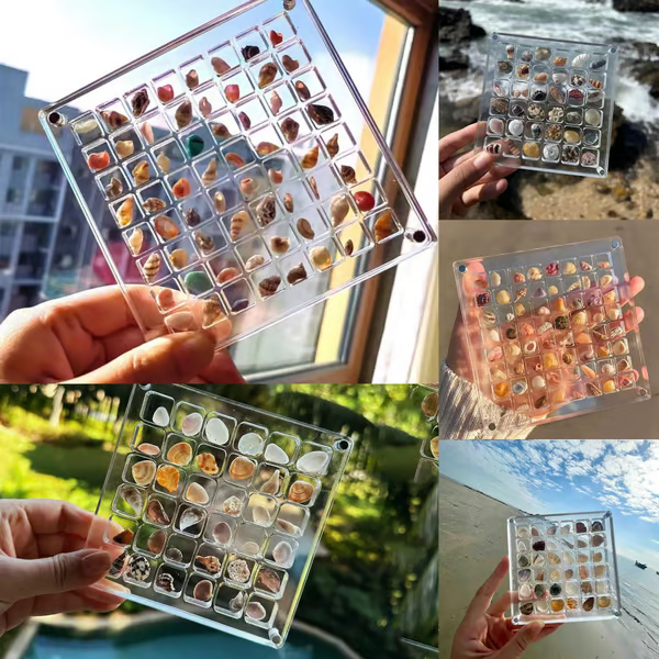 Acrylic Magnetic Shell Display Box