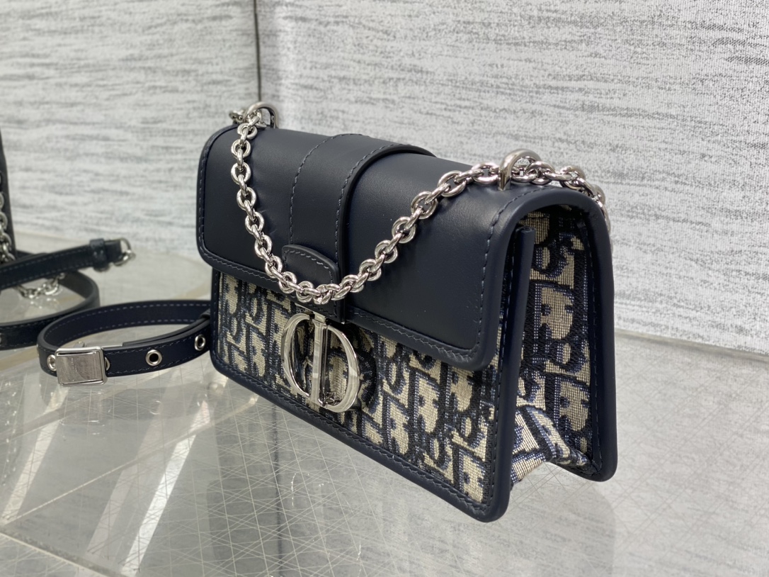 Dior Montaigne 30 East West Chain Bag