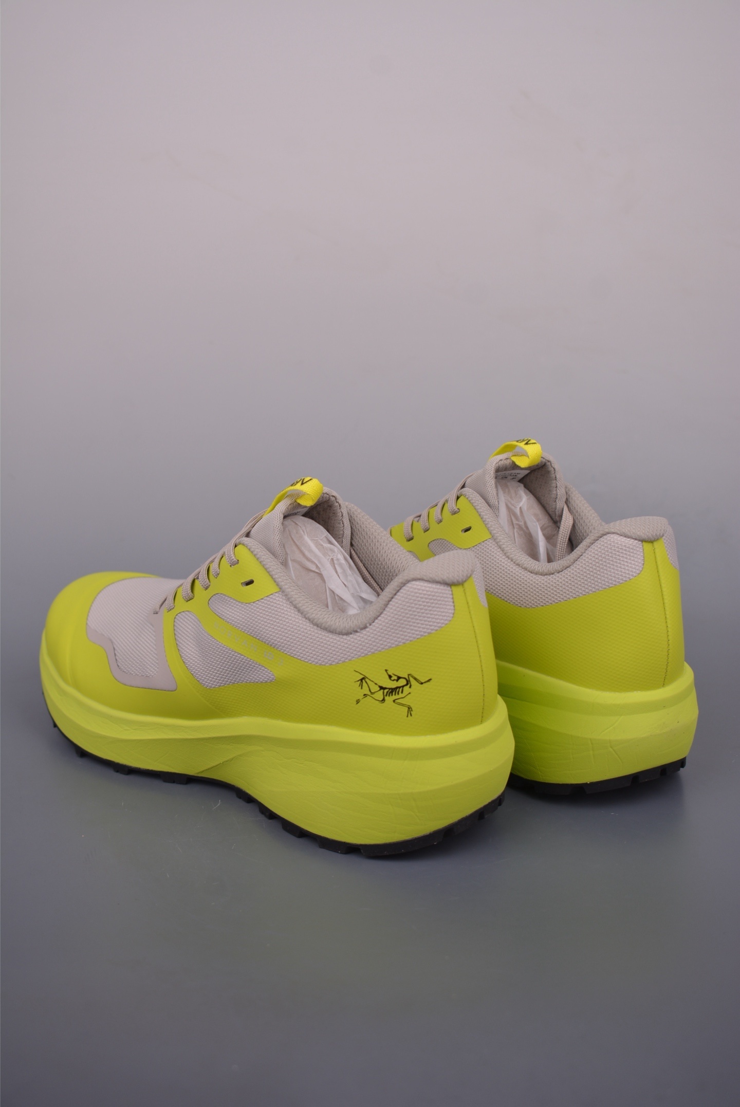 Arc'teryx NORV AN LD 3 Outdoor Sports Shoes 