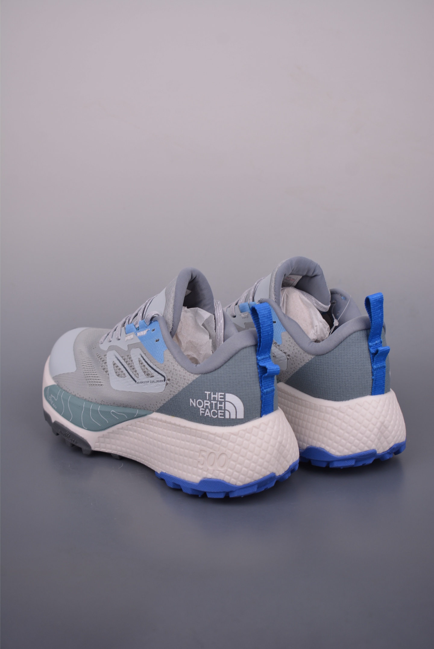 The North Face Altamesa 500 Hiking Shoes 