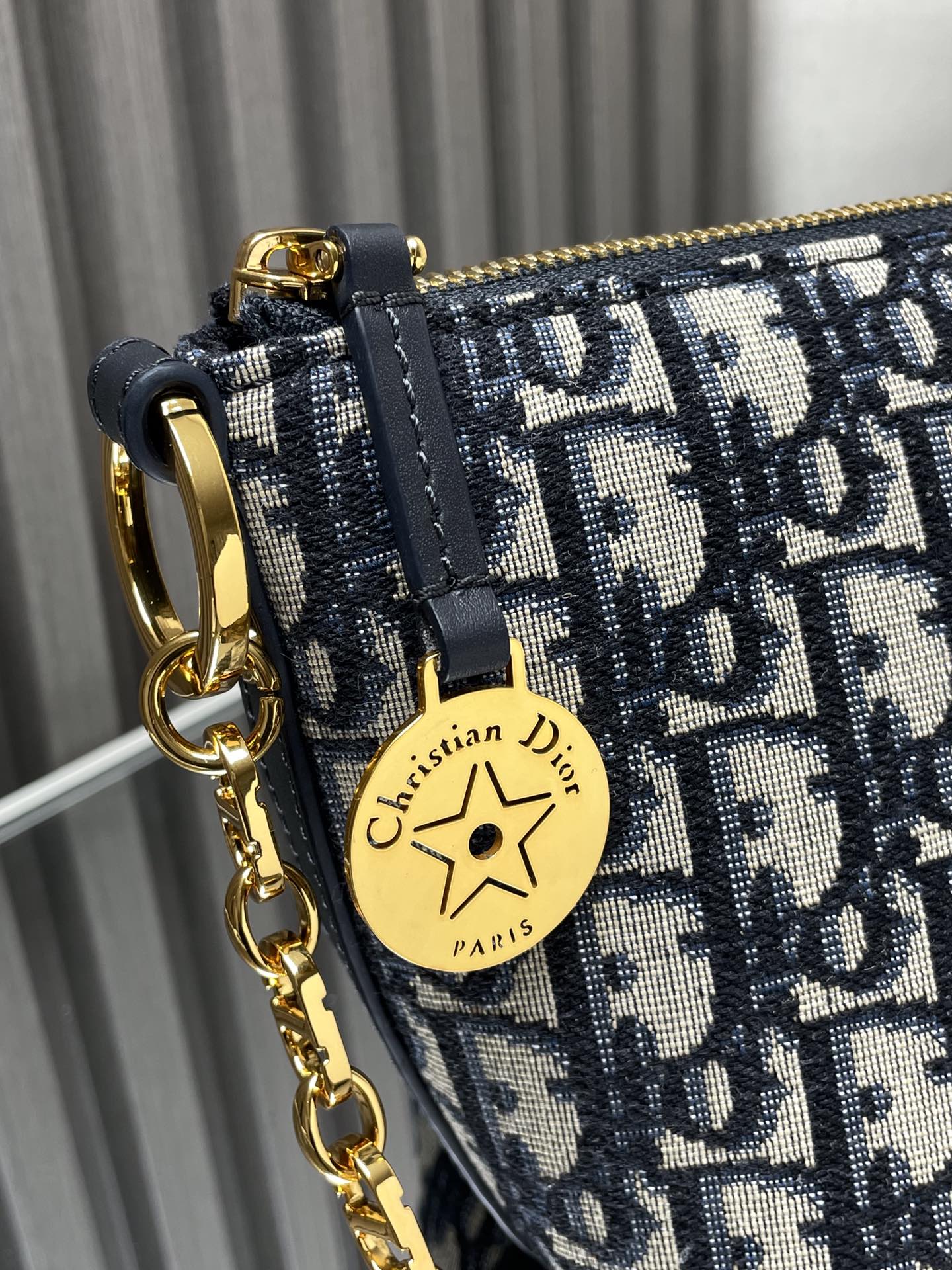 Dior star Hobo chain bag 3202