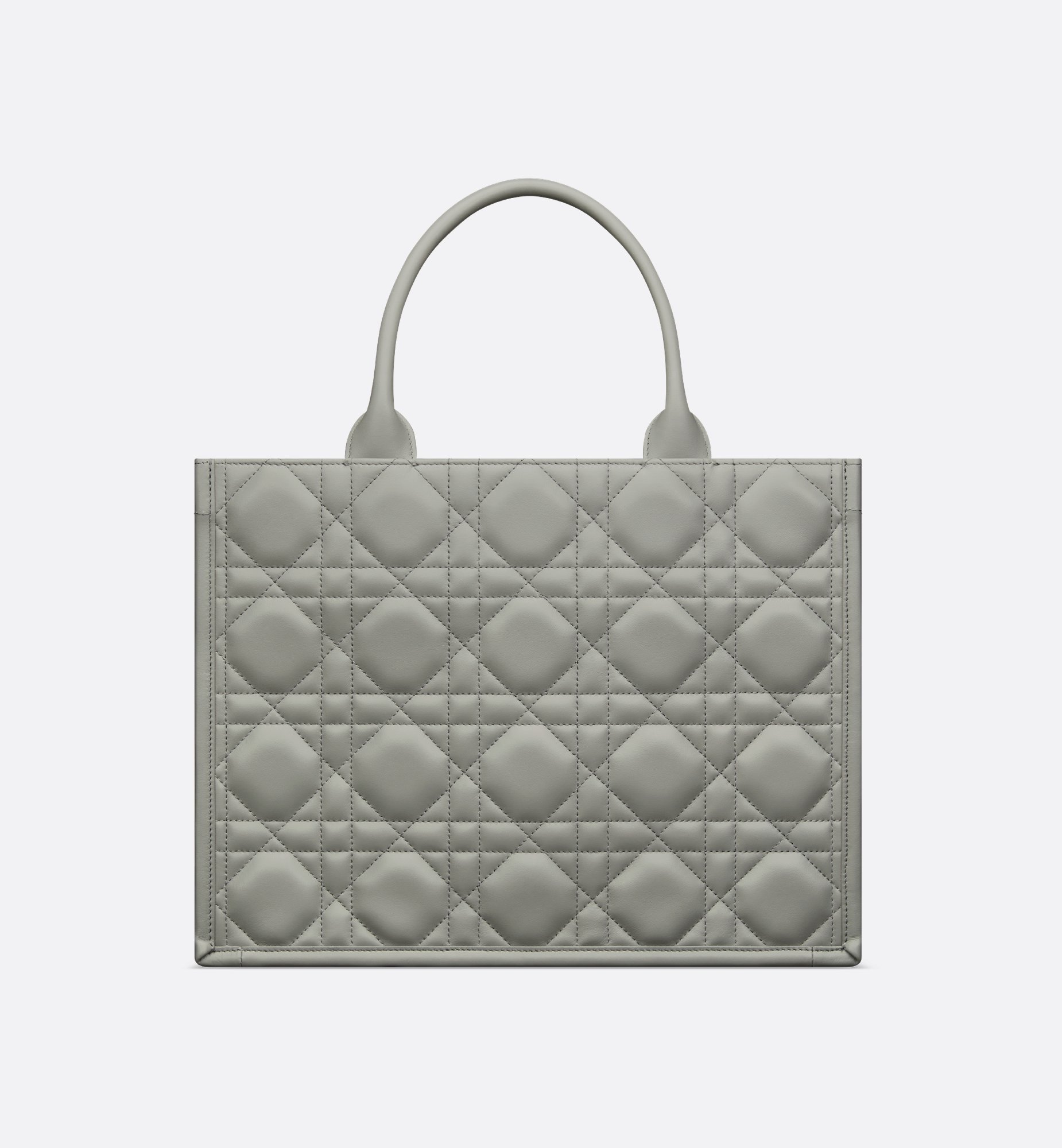 Dior Medium Book Tote Bag M1324OWHP_M41G