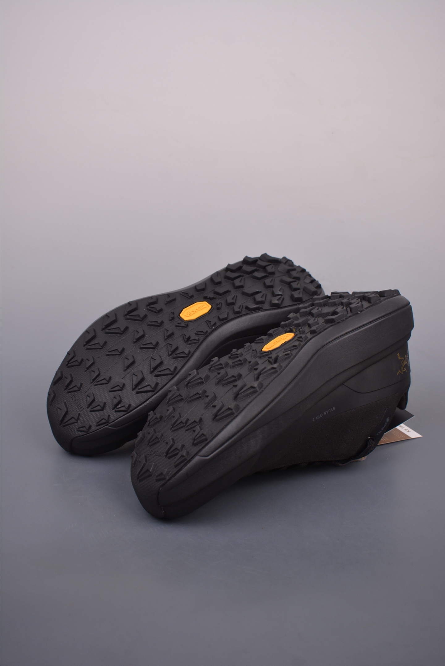 Arc'teryx Sylan GTX Black Gold Label 077218