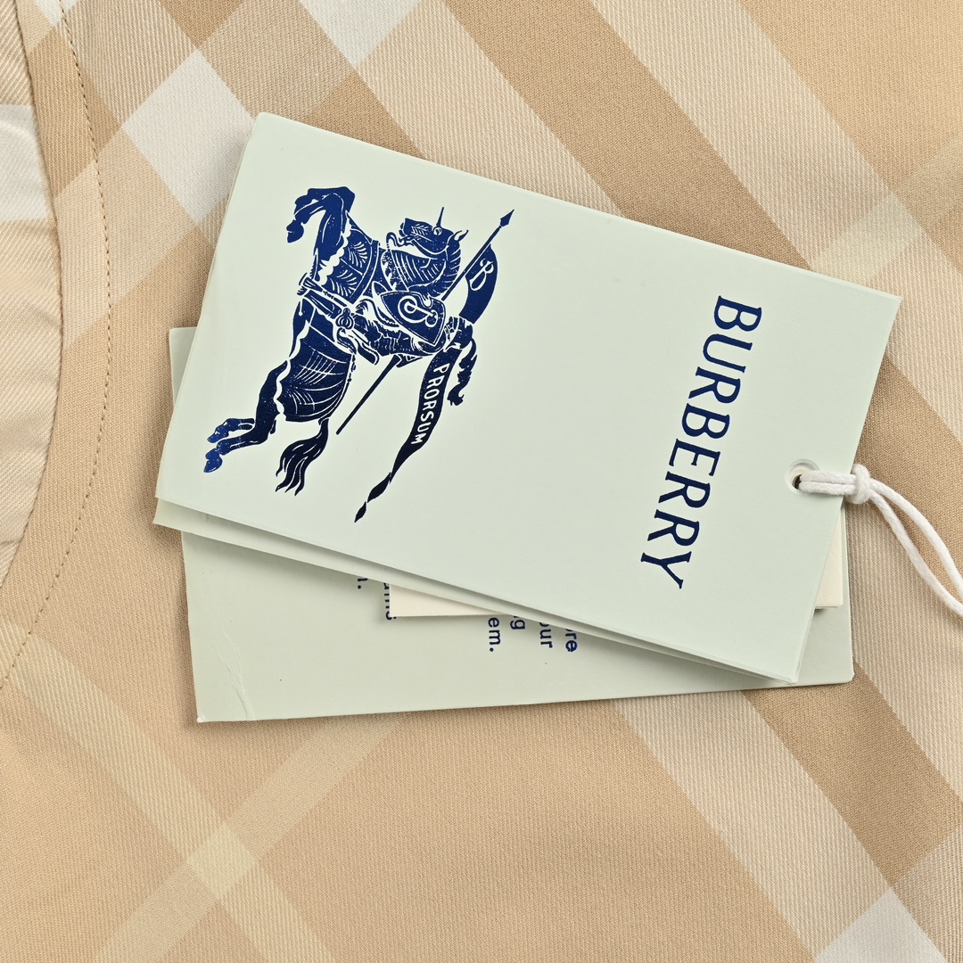 Burberry 24Fw Large Check Cotton Shirt