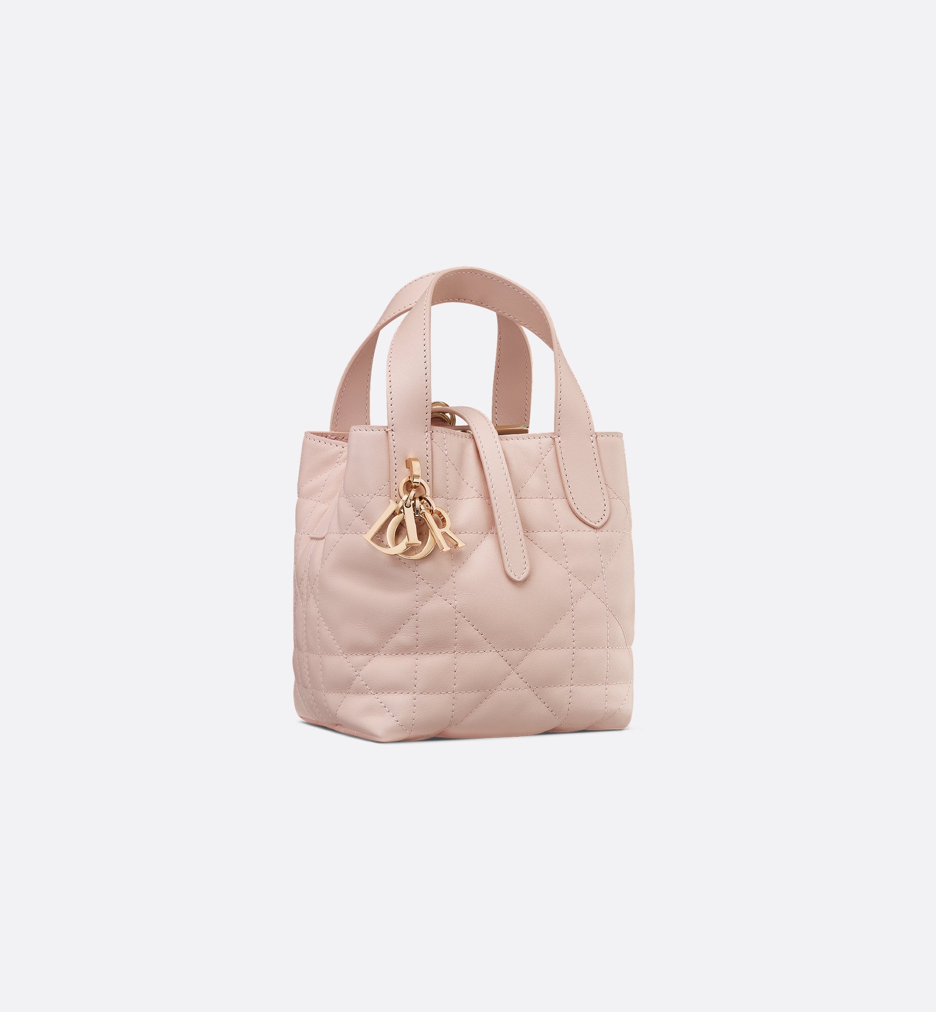 Dior Micro Dior Toujours Vertical Bag S6100OSNW_M413