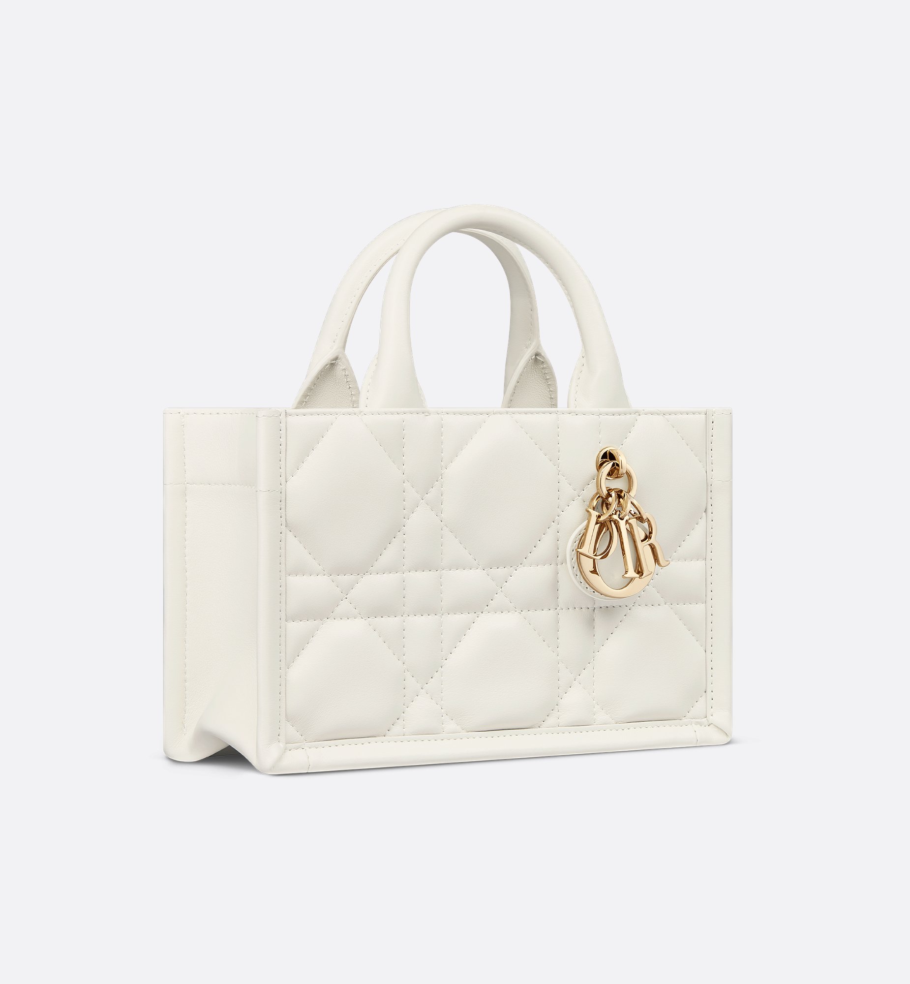 Dior Mini Book Tote S5573OWHP_M030
