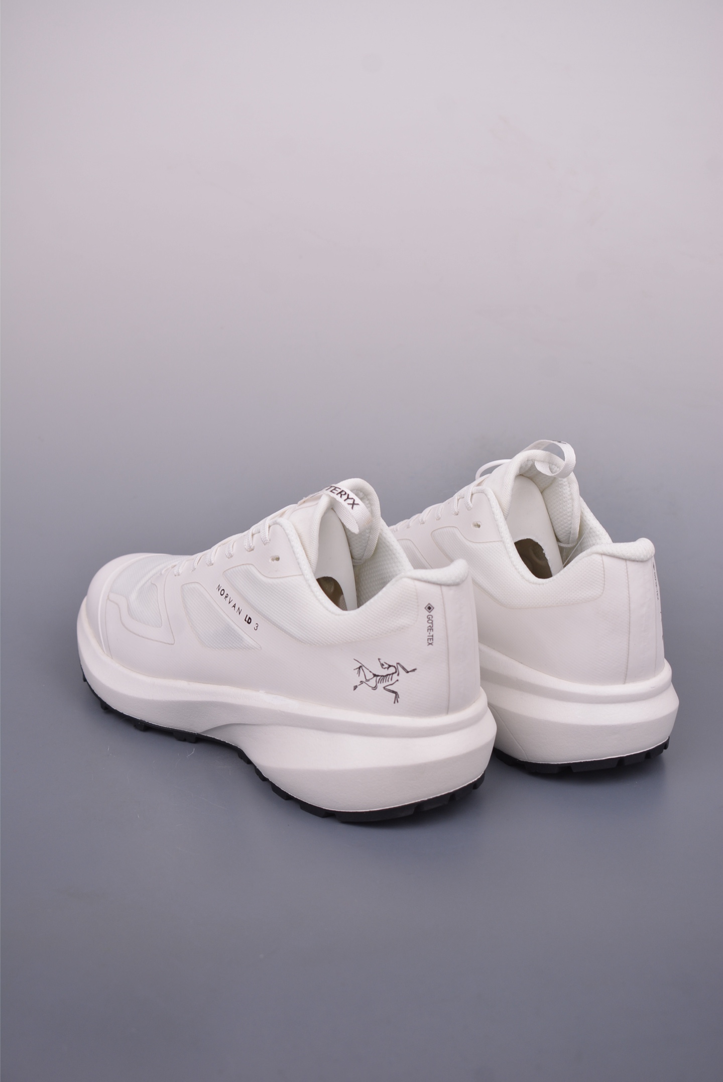 Arc'teryx NORVAN LD 4 M 