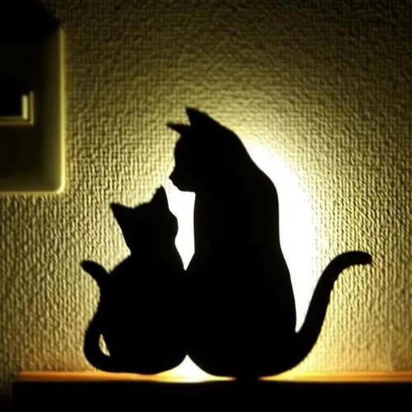 (💥Last Day Promotions-50% OFF)--3D pattern sound control projection lamp-BUY 2 FREE SHIPPING