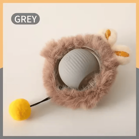 🔥Smart Interactive Pet Toy Ball🐾