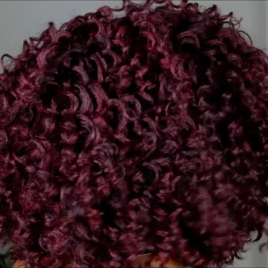 Super Fashion Curly Wigs
