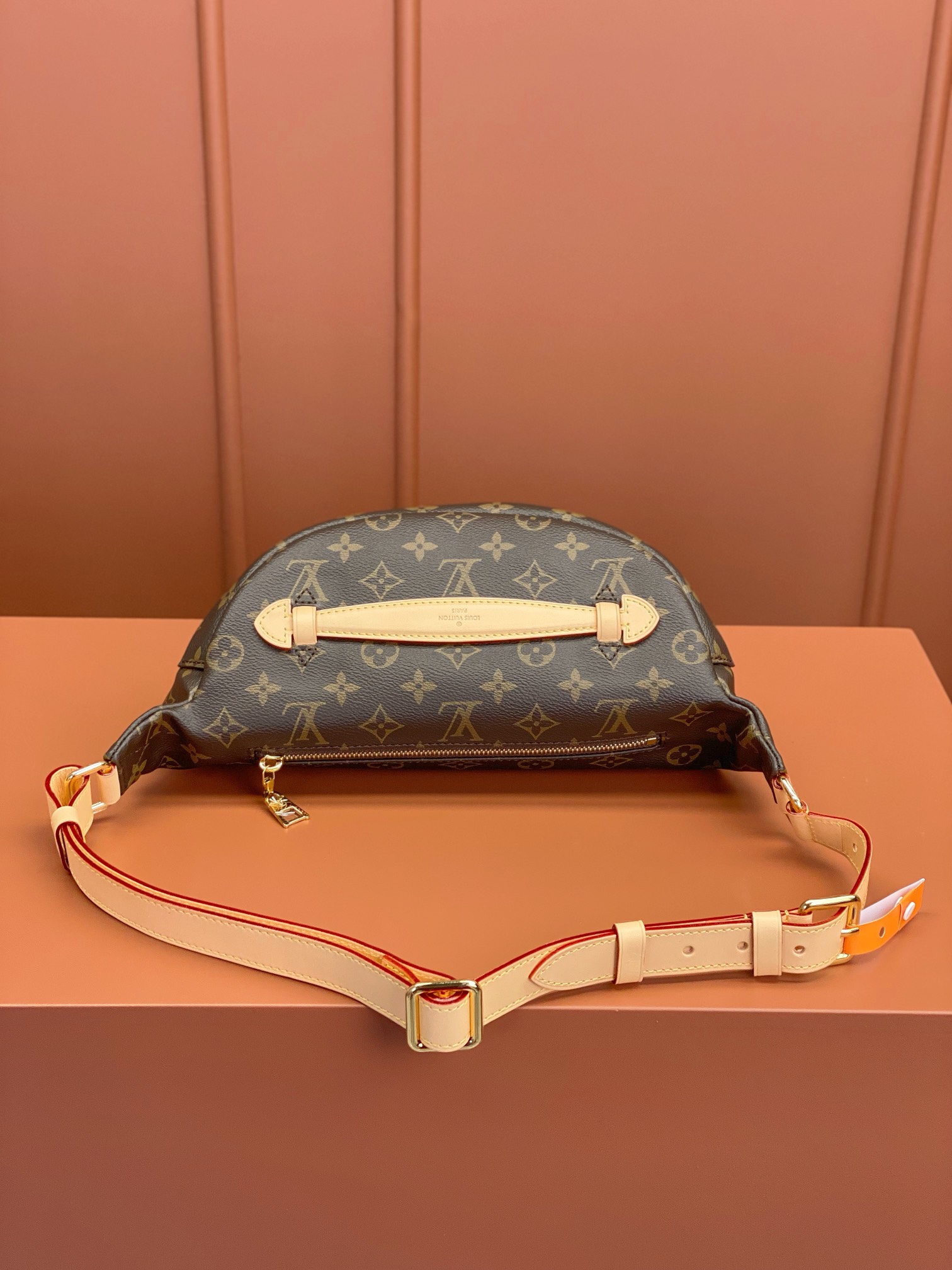 Louis Vuitton BUMBAG waist bag M43644