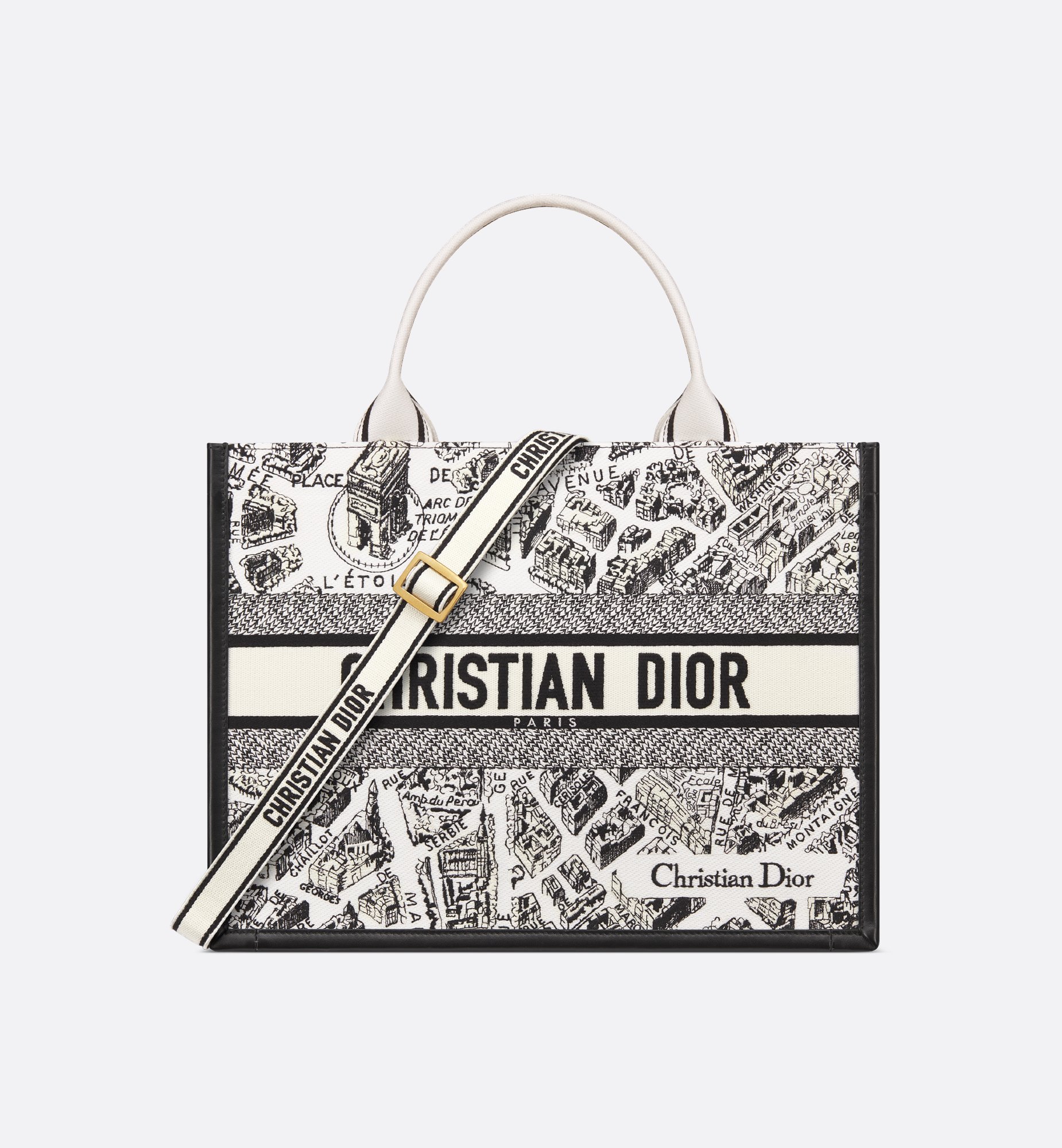 Dior Medium Book Tote Bag M1324CETJ_M081