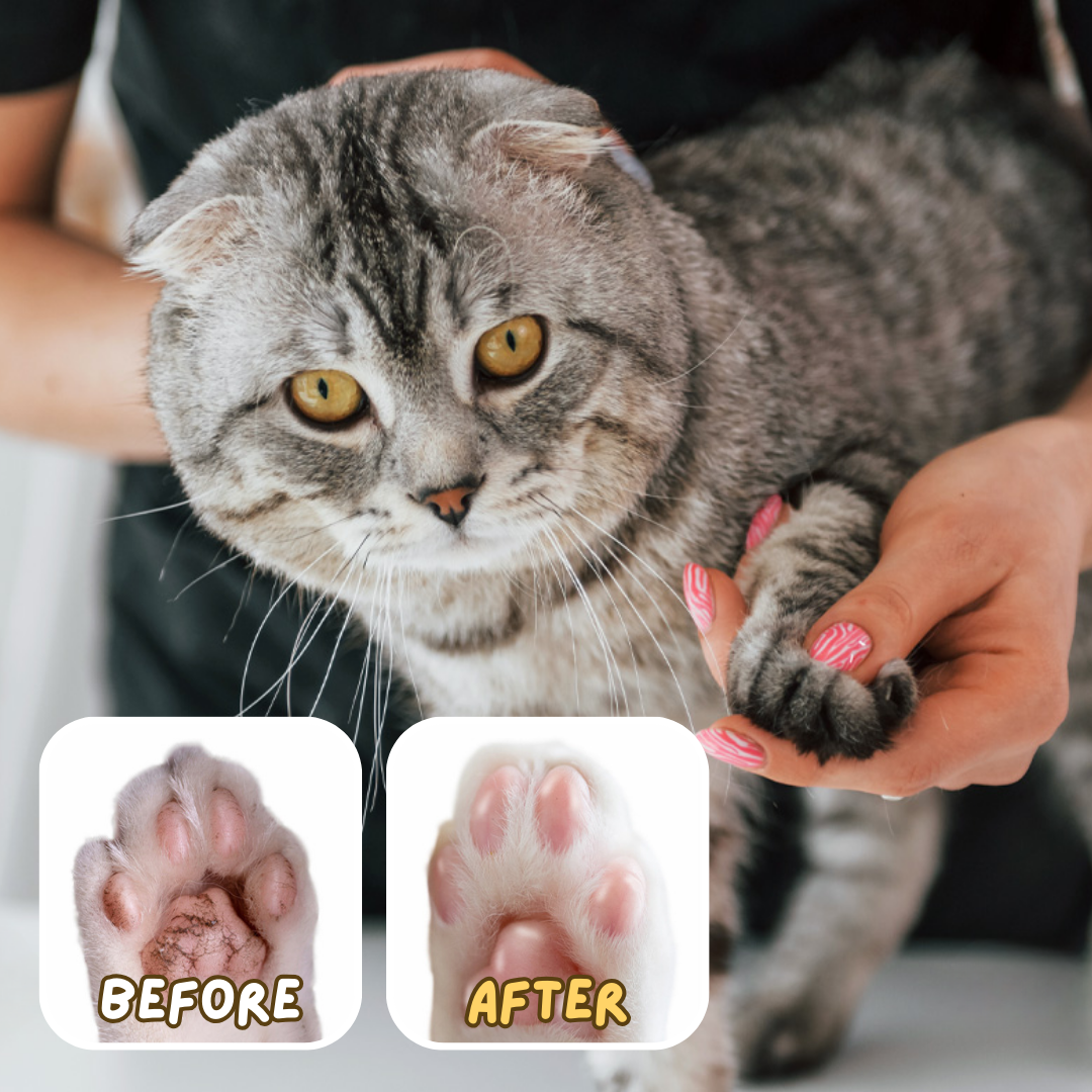 🔥2024 New Sale🔥Cat Dog Paw Ointment Stick