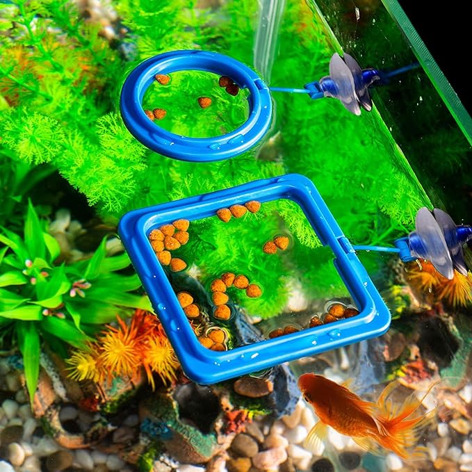 Fish Tank Ring Feeder Feeding Station