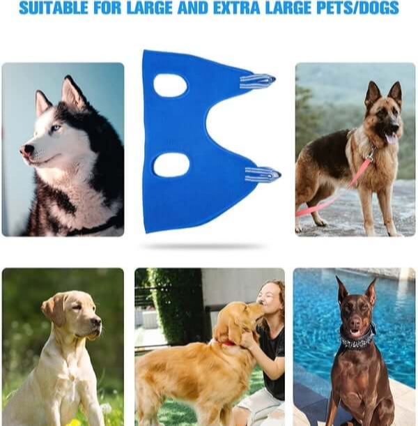 🔥Mother's Day Sale 50%🐱Hot Sale🔥Pet Grooming Hammock🔥BUY 2 GET 10% OFF & FREE SHIPPING