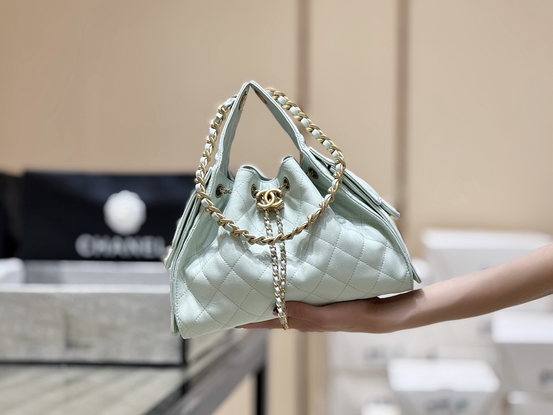 Chanel 25S Spring/Summer Collection Handbag AS5293 00158