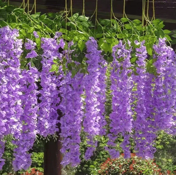 💐 12 Pack/Set Wisteria Flower Vines Garland, 3.75 Feet Artificial Flower Strings