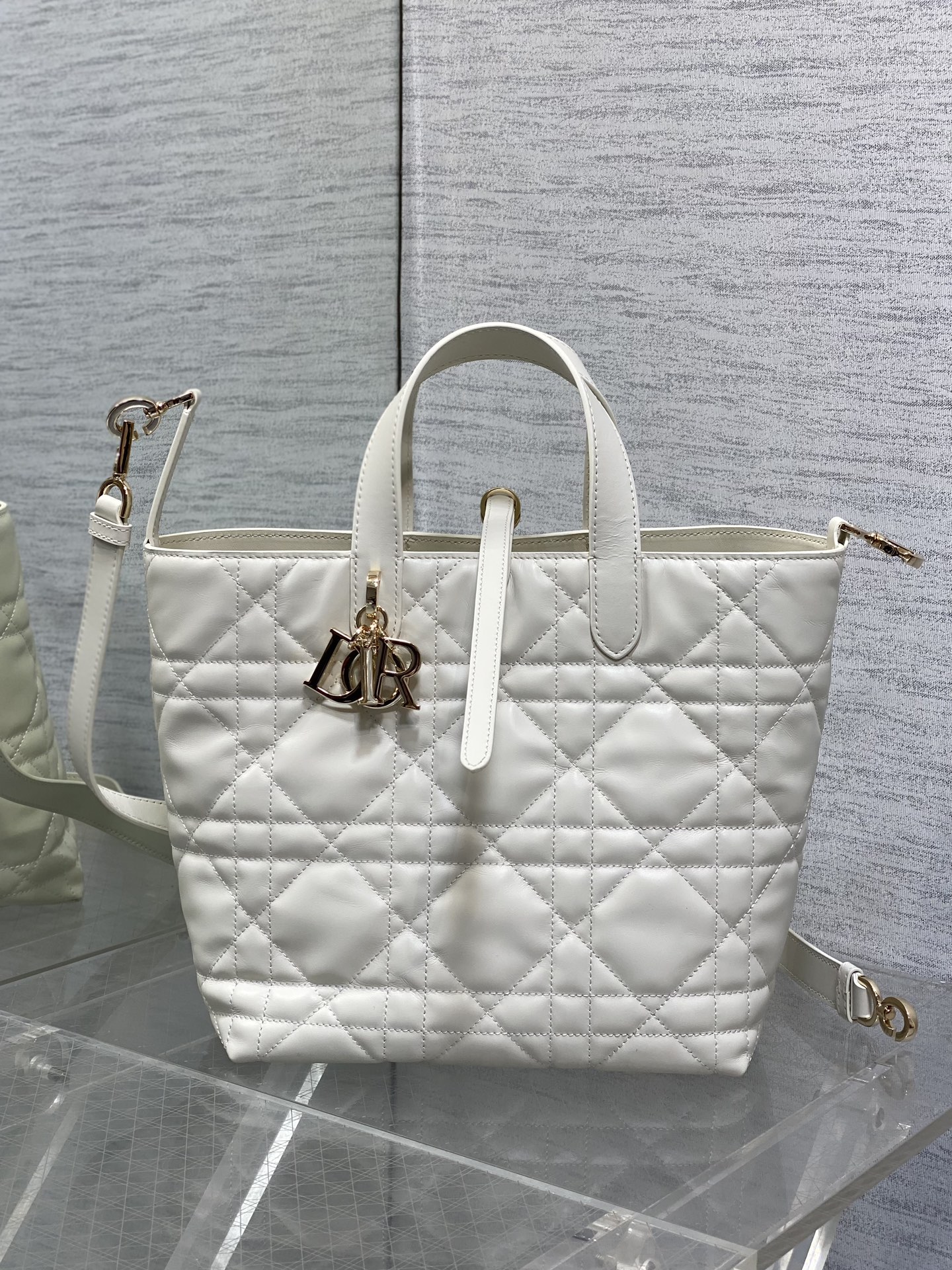 Dior Toujours Vertical Series Mediumv