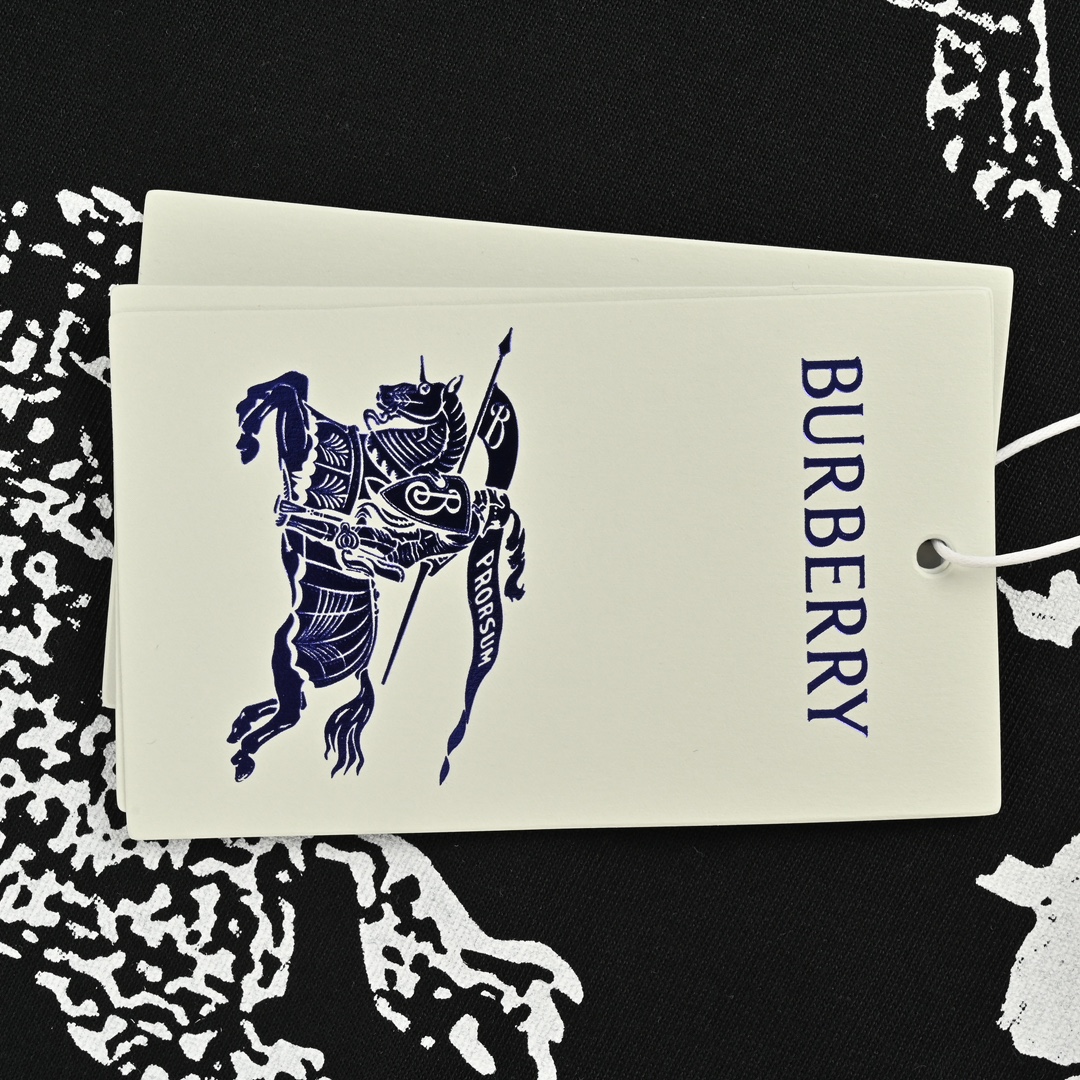 Burberry 24ss full gradient warhorse print short sleeves