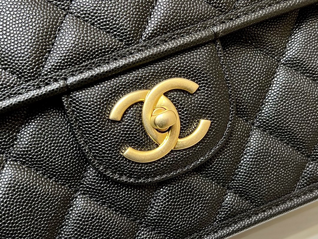 Chanel 22k Autumn and Winter Haute Couture Collection Chain Bag 3662