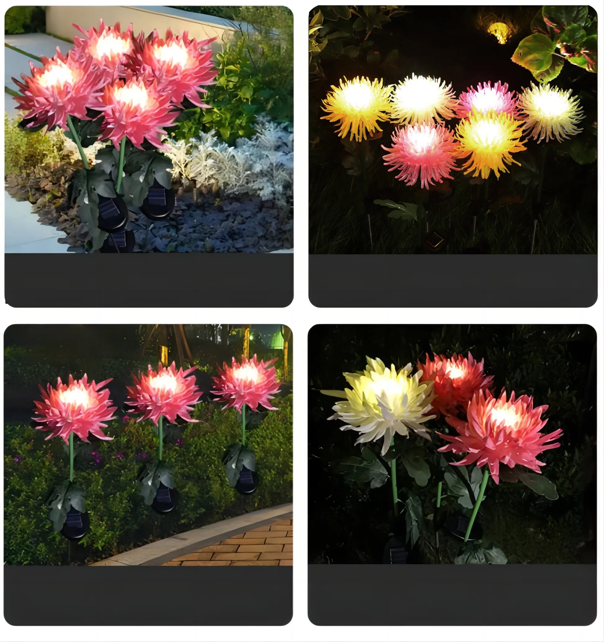 Spring Chrysanthemum Solar Garden Stake LED