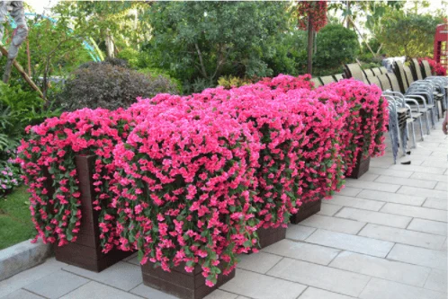 Vivid Artificial Hanging Orchid Bunch🌷 Spring Hot Sale - 49% OFF 🔥