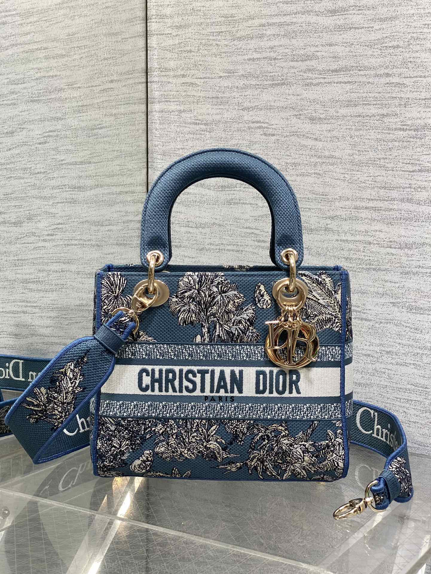 Dior Lady Summer Collection Embroidered Lady Bag