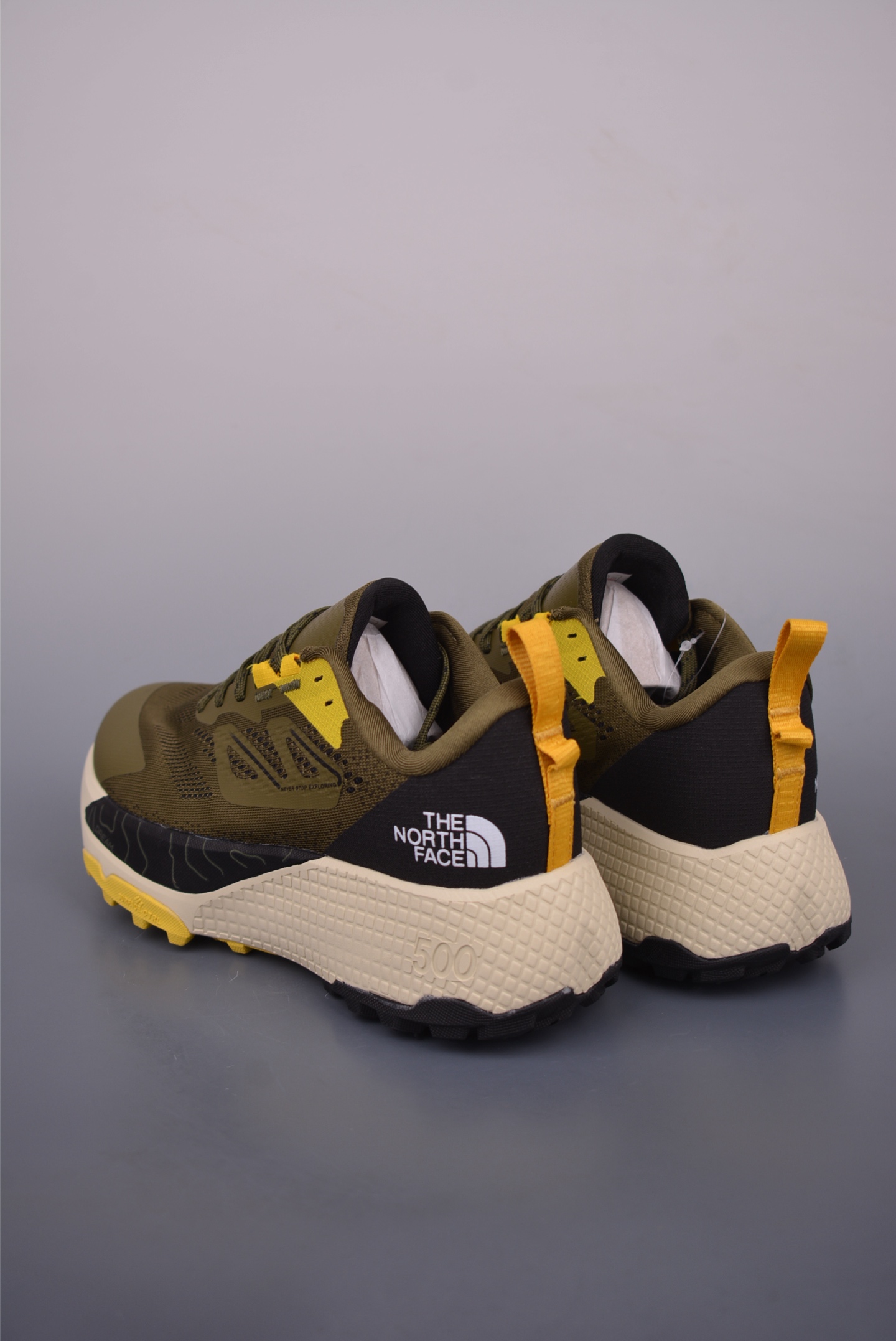 The North Face Altamesa 500 Hiking Shoes 