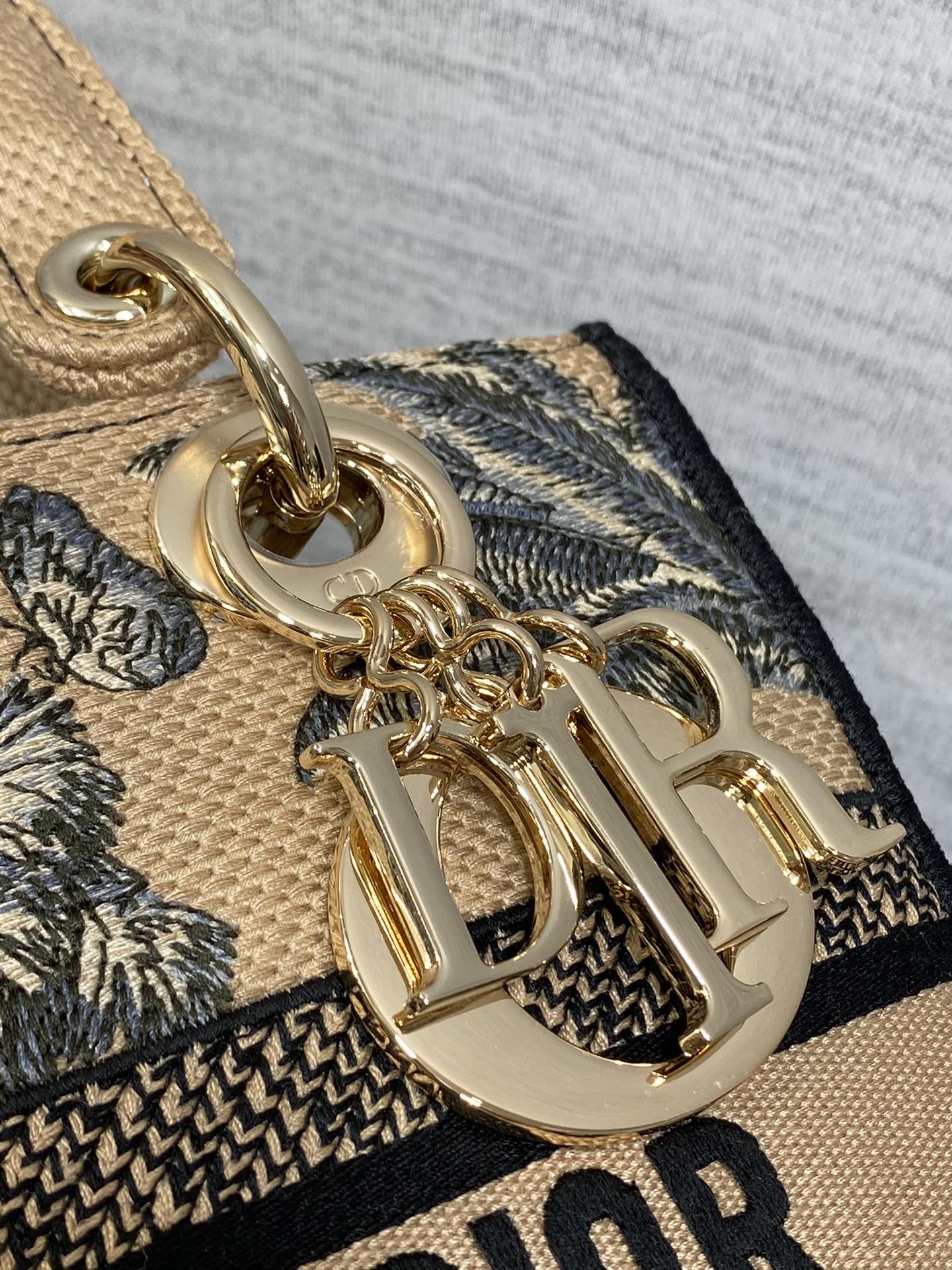 Dior Lady Summer Collection Embroidered Lady Bag