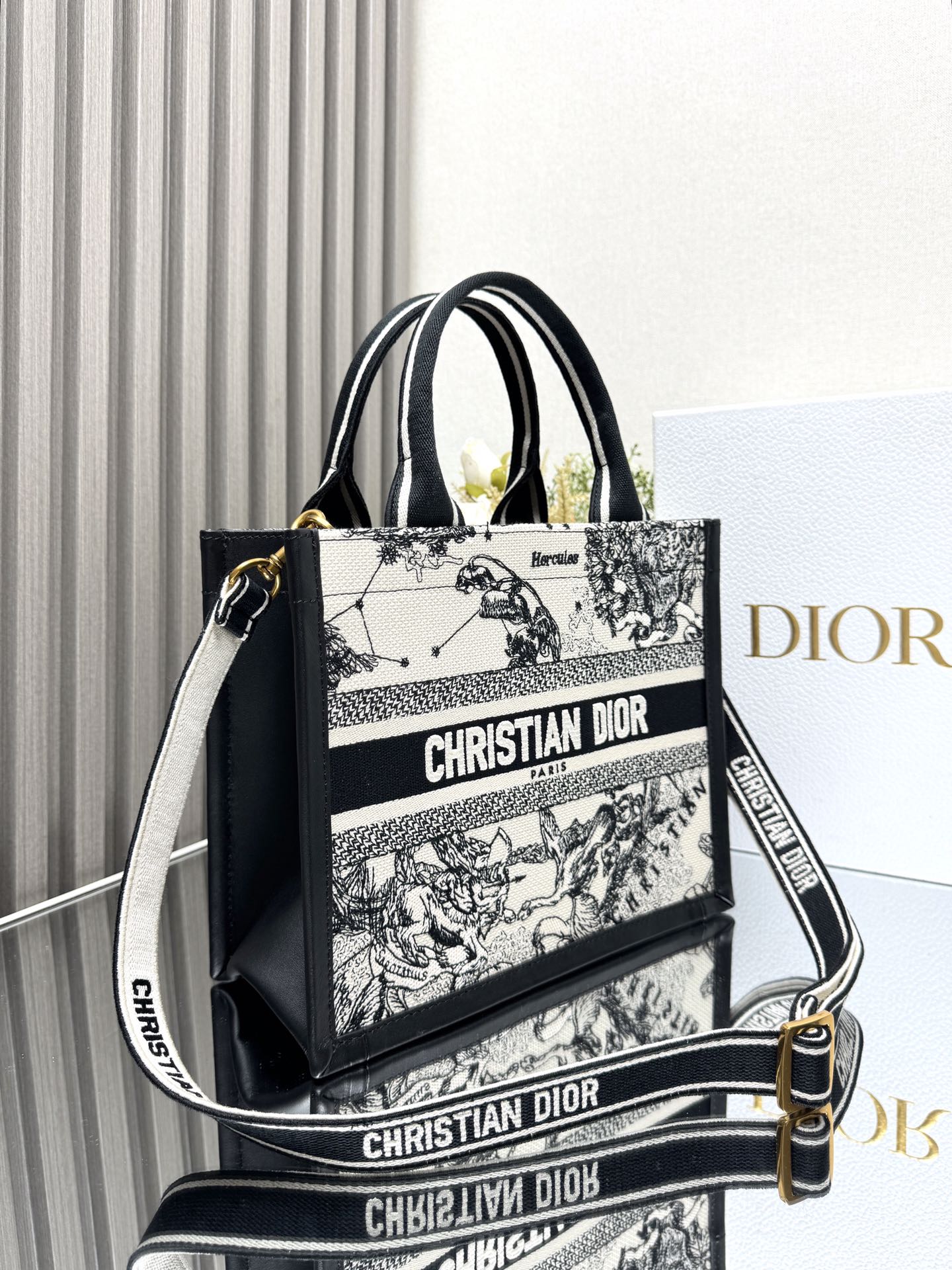 Dior Mini Book tote bag