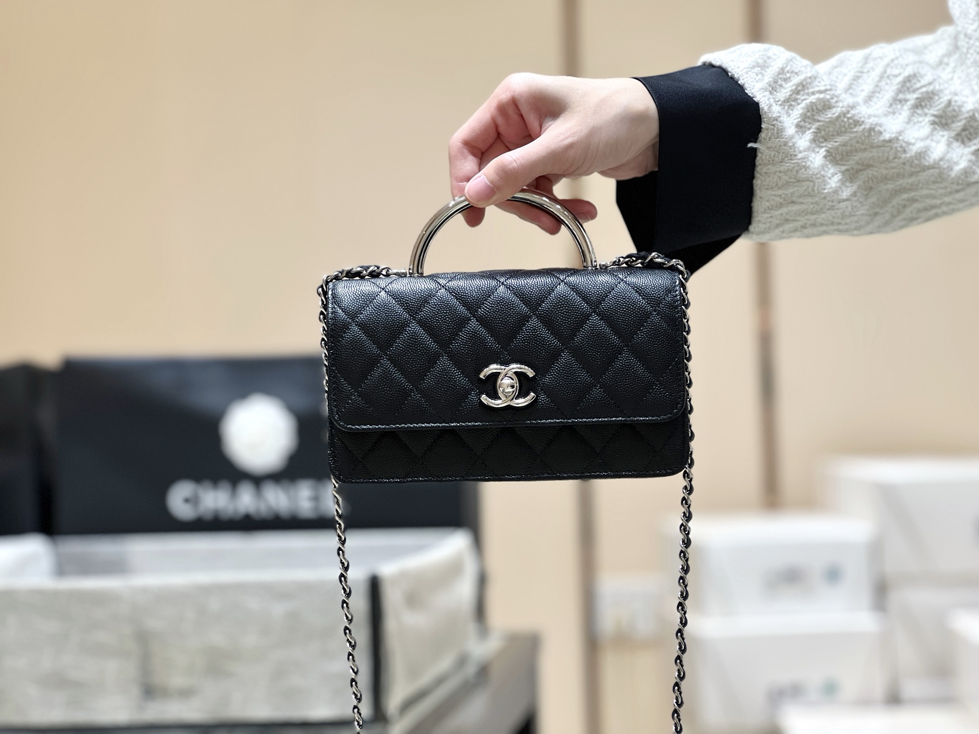 Chanel 25P Spring/Summer Preview Series Limited Edition Organ Bag AP4498