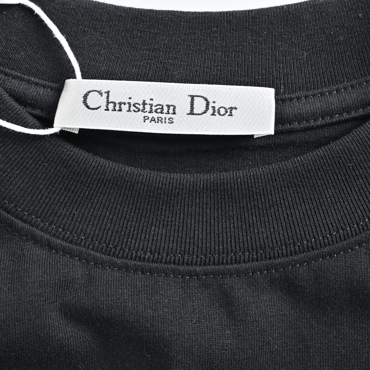 Dior 25ss Year of the Snake Limited Edition Tatami Embroidered Short Sleeve