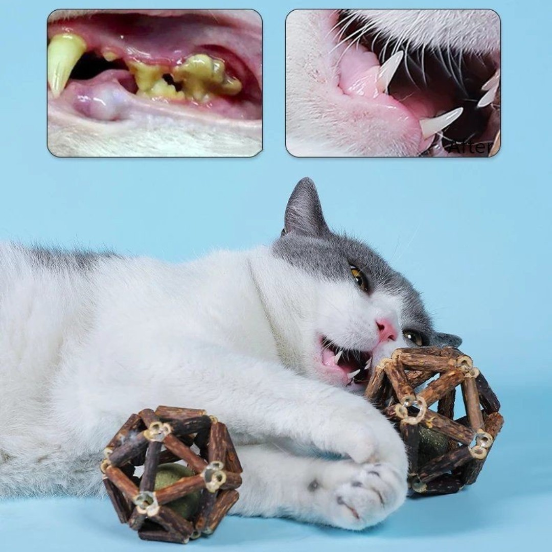 (🔥Last Day 60% OFF)😺-Natural Silvervine Catnip Toys-BUY 5 GET 3 FREE & FREE SHIPPING
