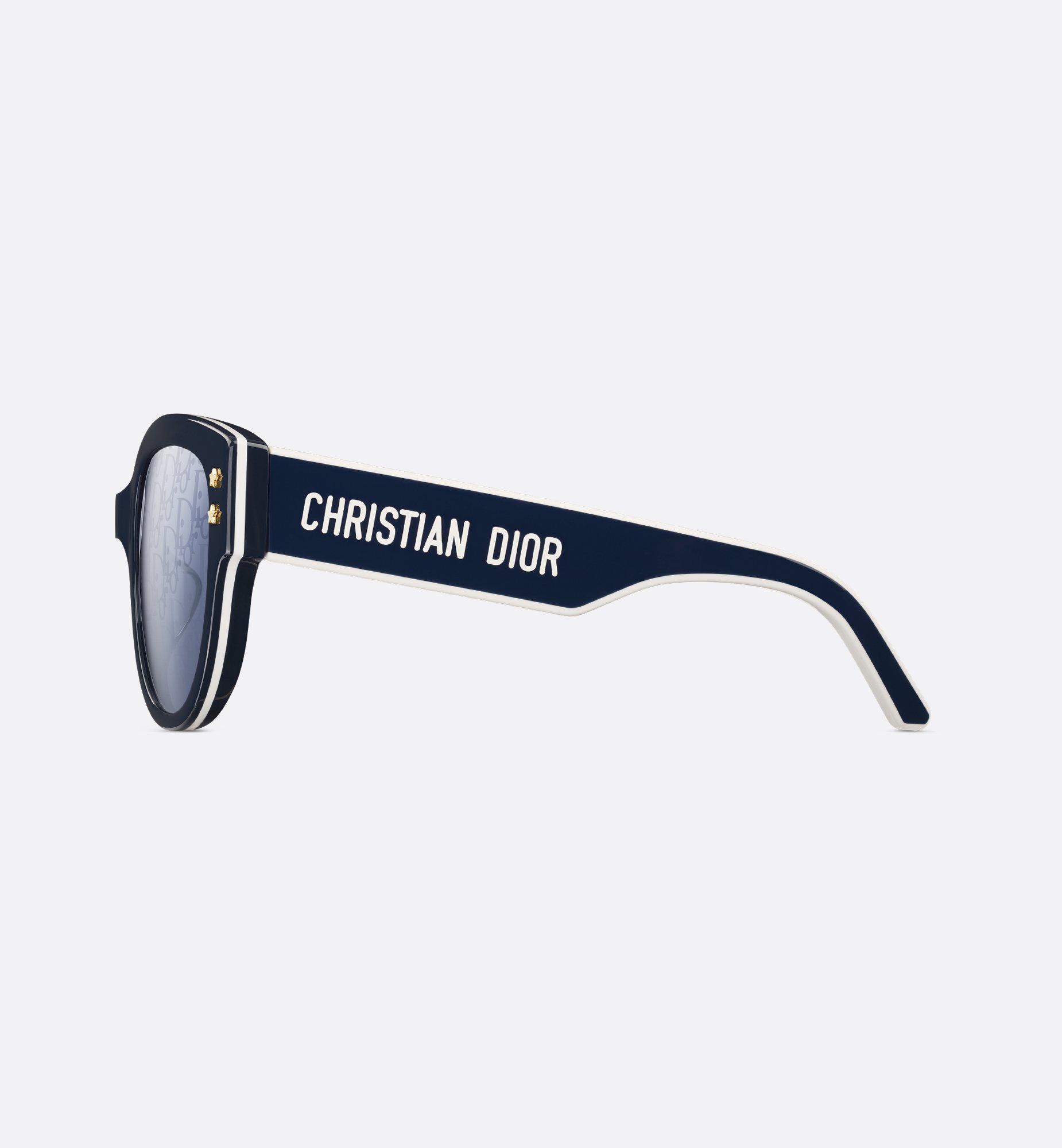 Dior DiorPacific B2F Sunglasses DPFCB2FQT_30B8
