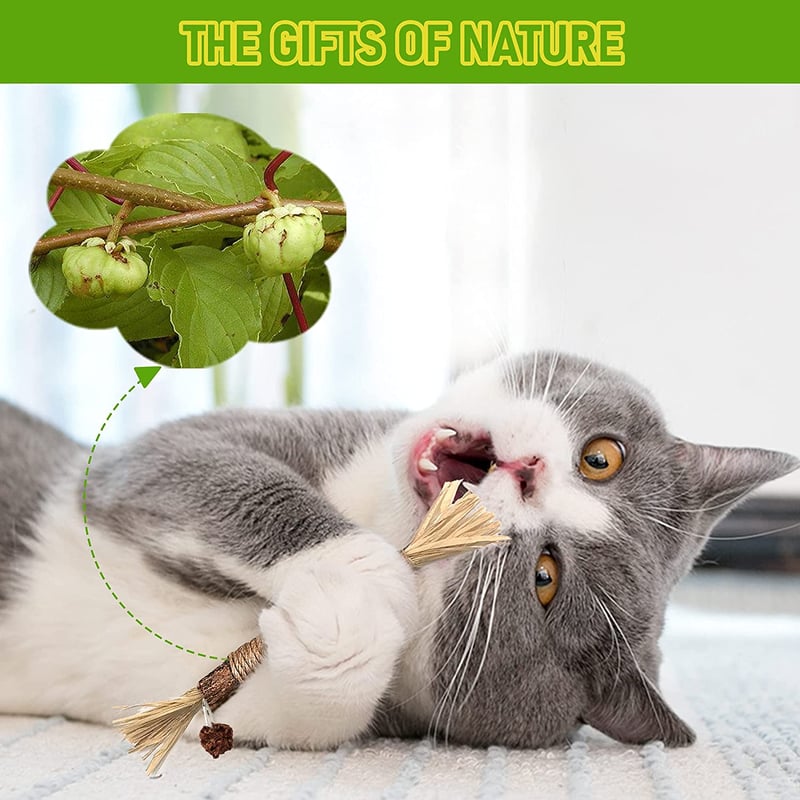 🎅Sticks for Cats-BUY 5 GET 5 FREE & FREE SHIPPING🎄-😺 Sale price