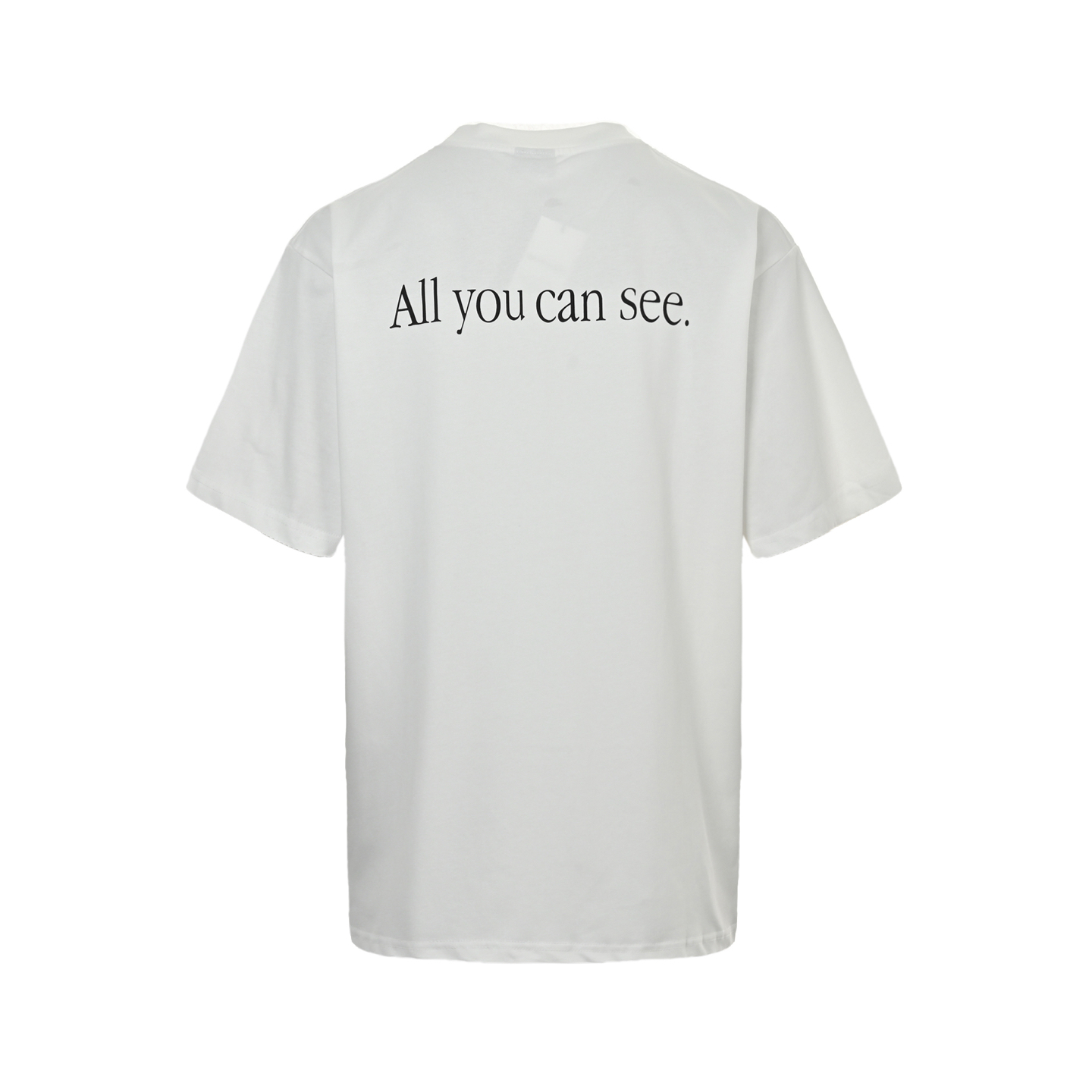 Balenciaga 25ss sunglasses print short sleeve