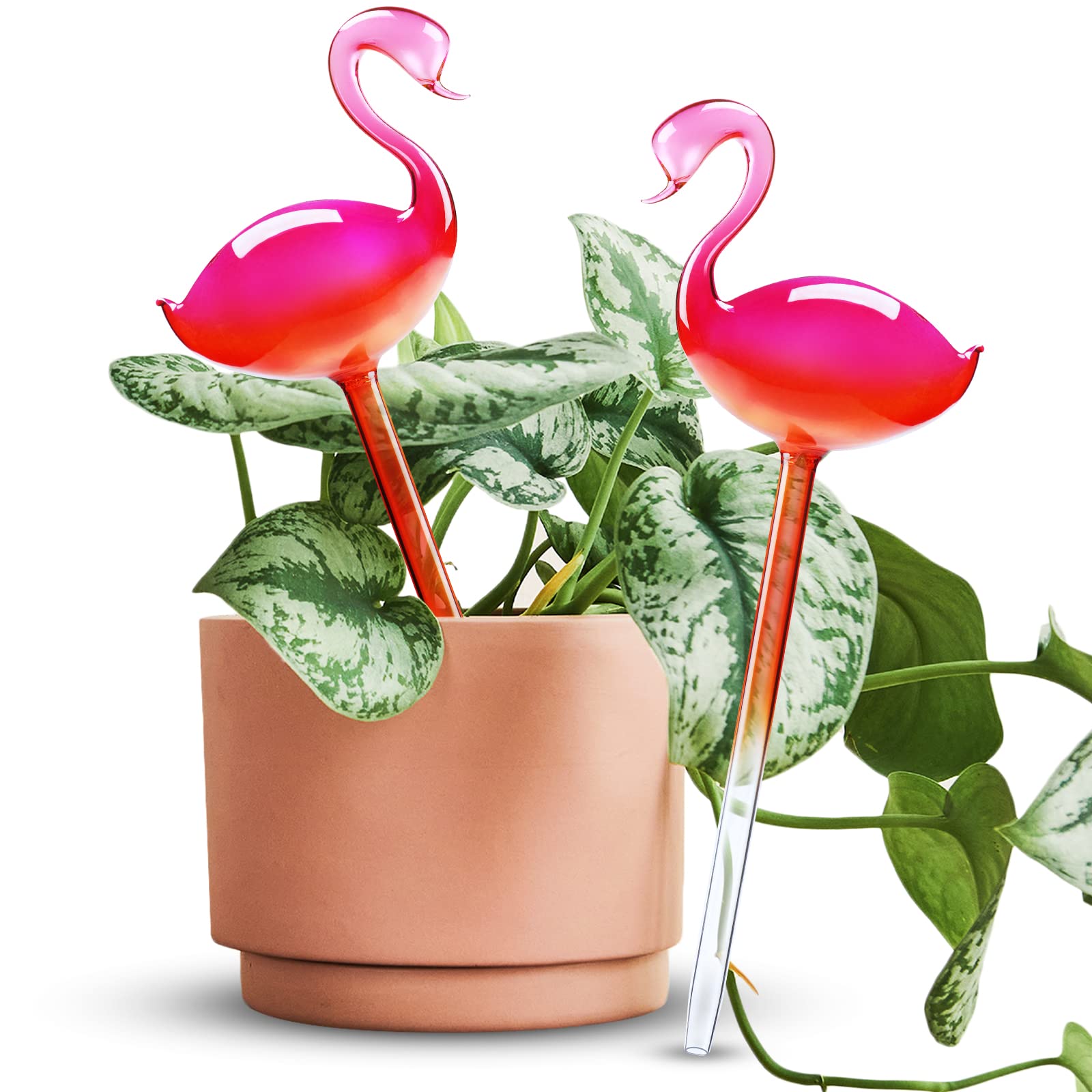 🔥NEW YEAR FLASH SALE 70% OFF🔥Self-Watering Glass Globes Flamingo Gradient Hot Pink