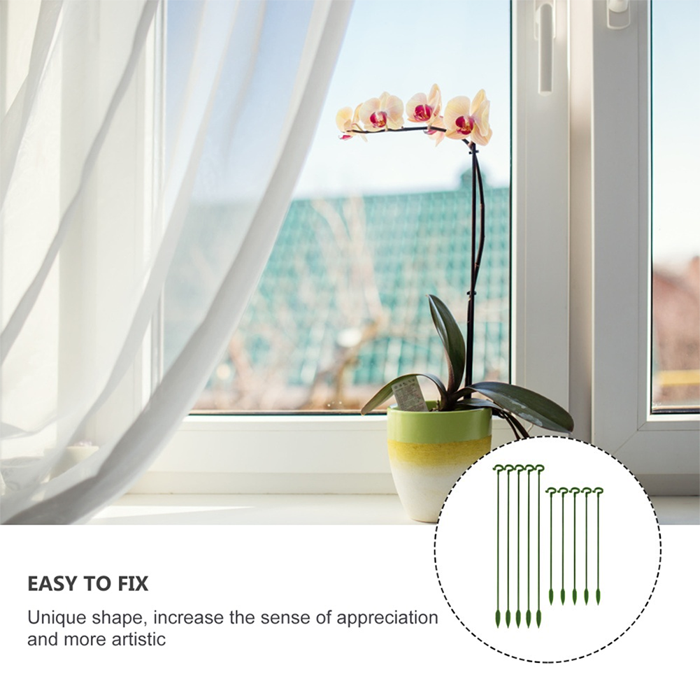 (🔥3rd Anniversary Sale) Plant Support Stake - Buy 3 Sets Get 2 Sets Free