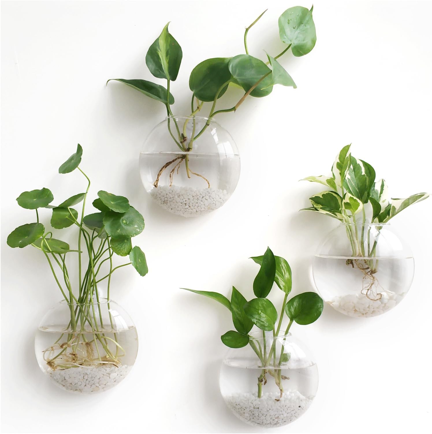 Wall Hanging Planter Propagation Station Glass Flower Vase