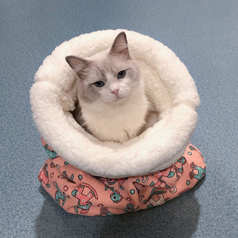 Flash Sale 49% OFF-Cat Sleeping Bag Small Dog Kennel