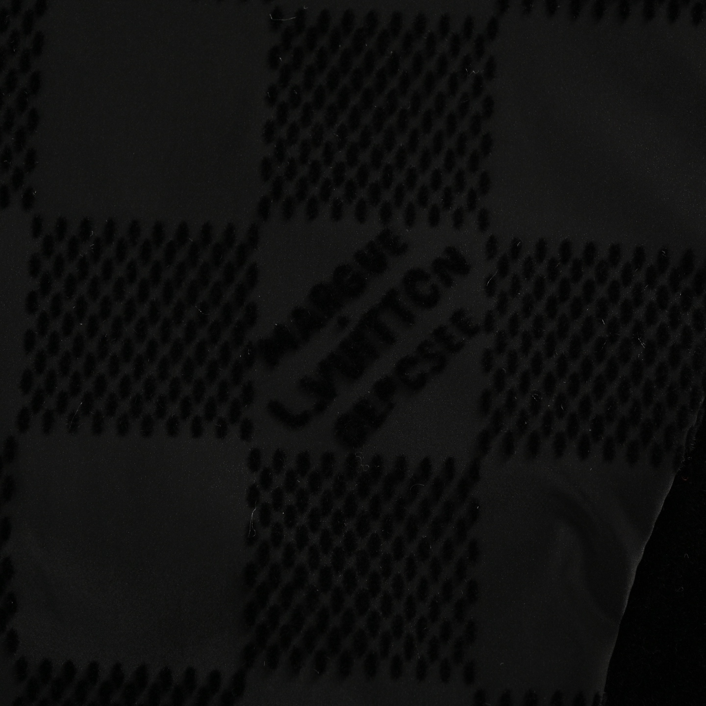 Louis Vuitton 24Fw Damier flocked checkerboard suit jacket
