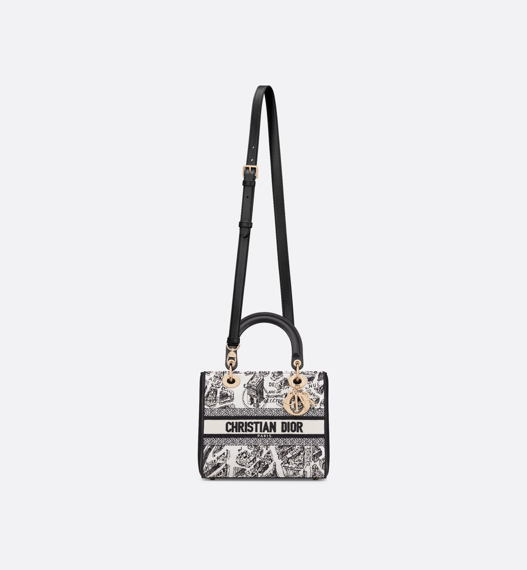 Dior Medium Lady D-Lite Handbag M1380OETJ_M081