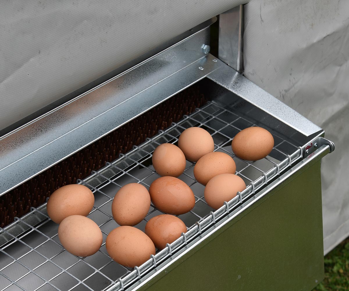 PRODUCERS PRIDE GALVANIZED METAL CHICKEN COOP