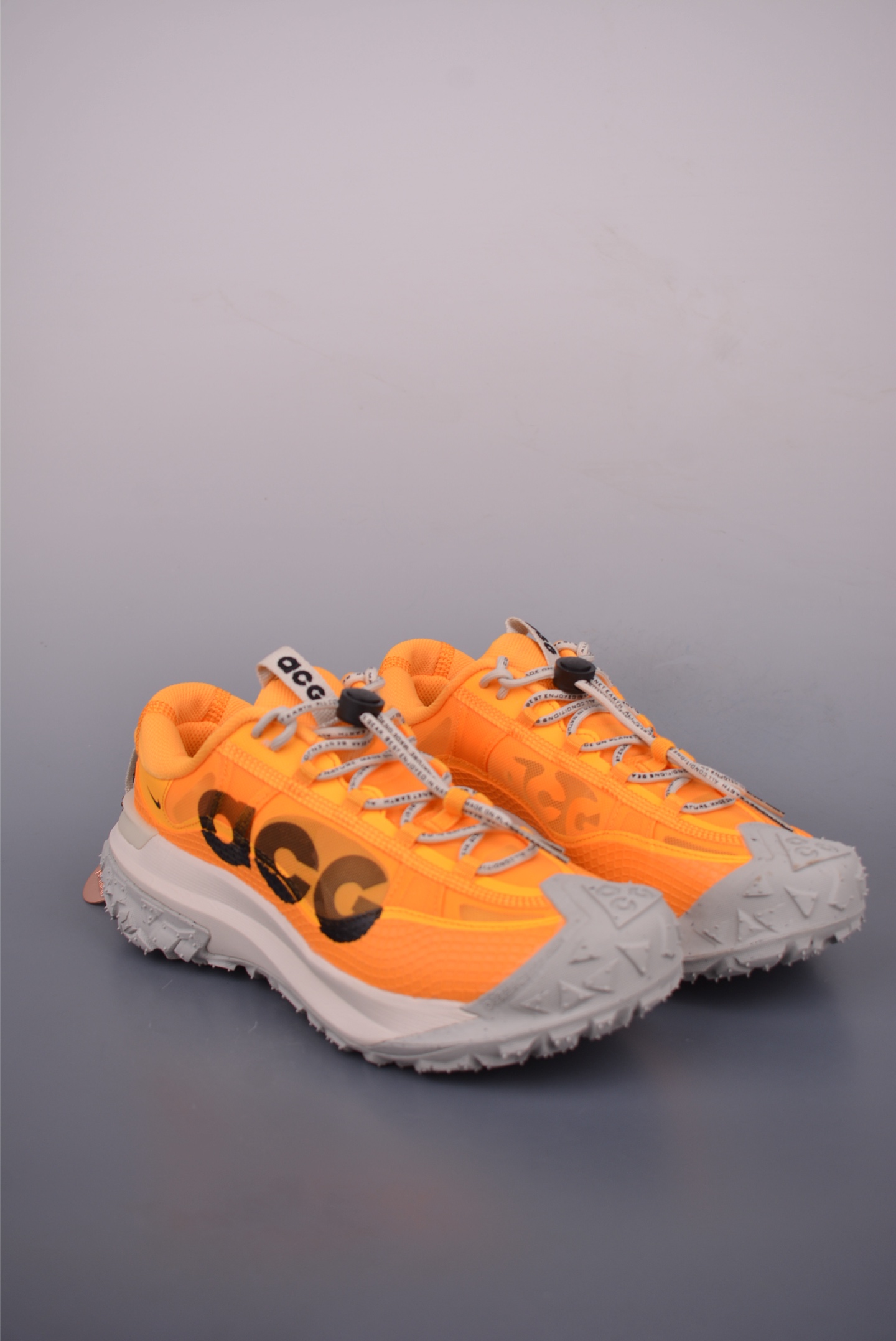 NikeACG MOUNTAIN FLY 2 LOW
